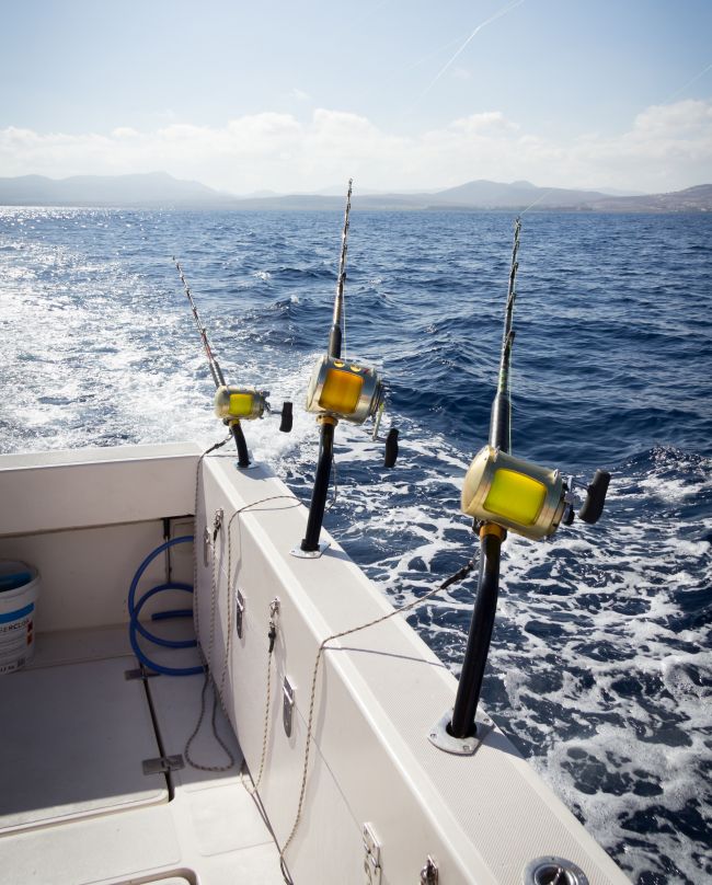 fishing rods on a boat overlooking the water